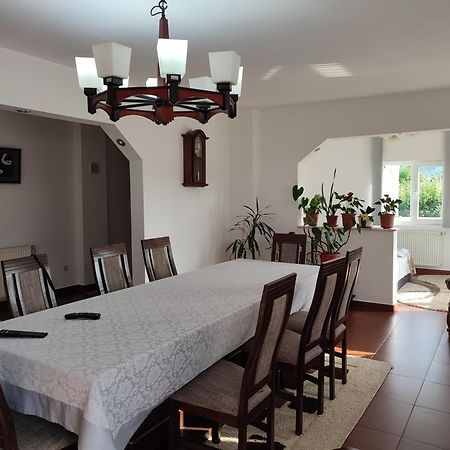 Villa Casa Danci Centru à Borşa Extérieur photo