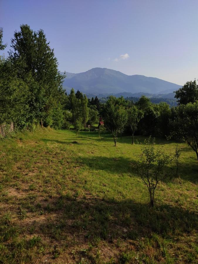 Villa Casa Danci Centru à Borşa Extérieur photo