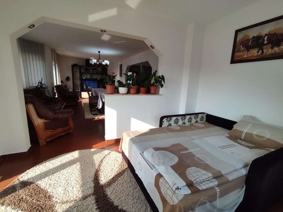 Villa Casa Danci Centru à Borşa Extérieur photo