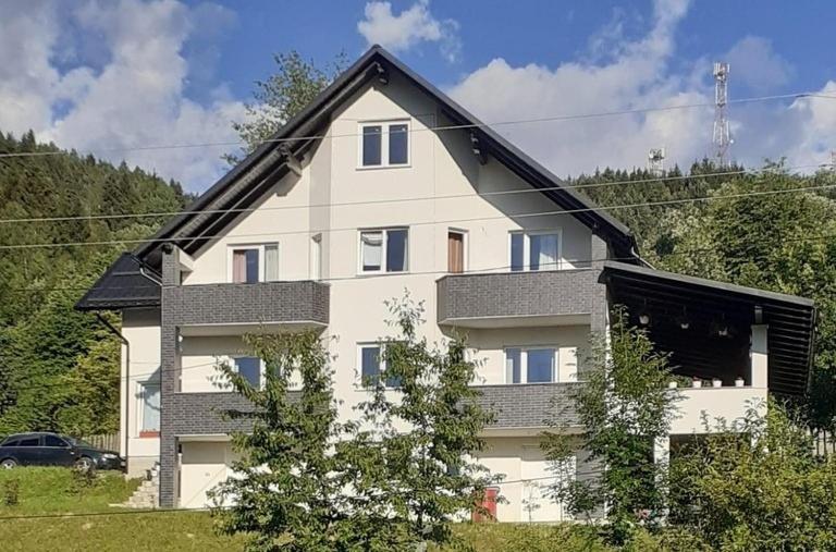 Villa Casa Danci Centru à Borşa Extérieur photo