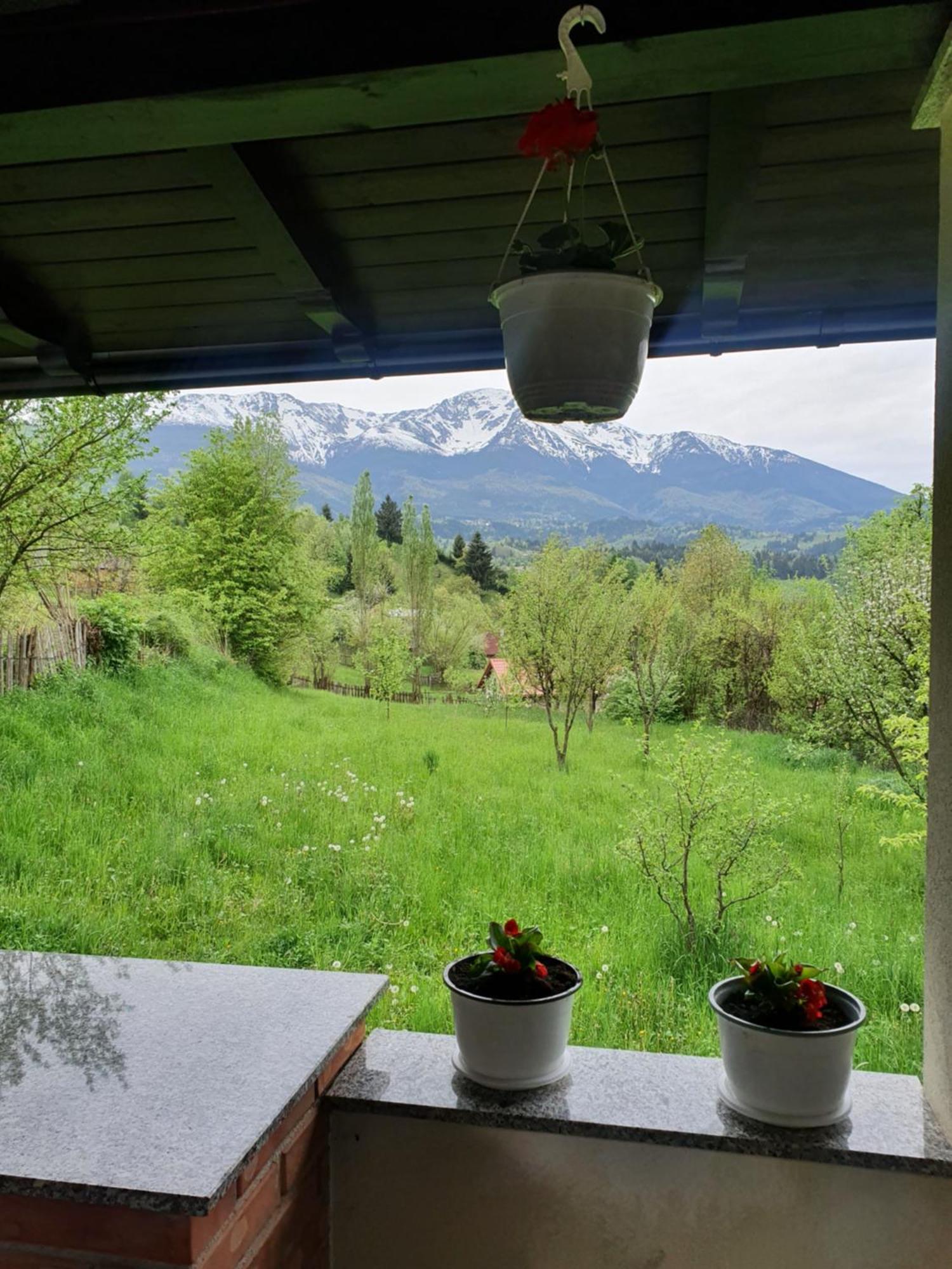 Villa Casa Danci Centru à Borşa Chambre photo