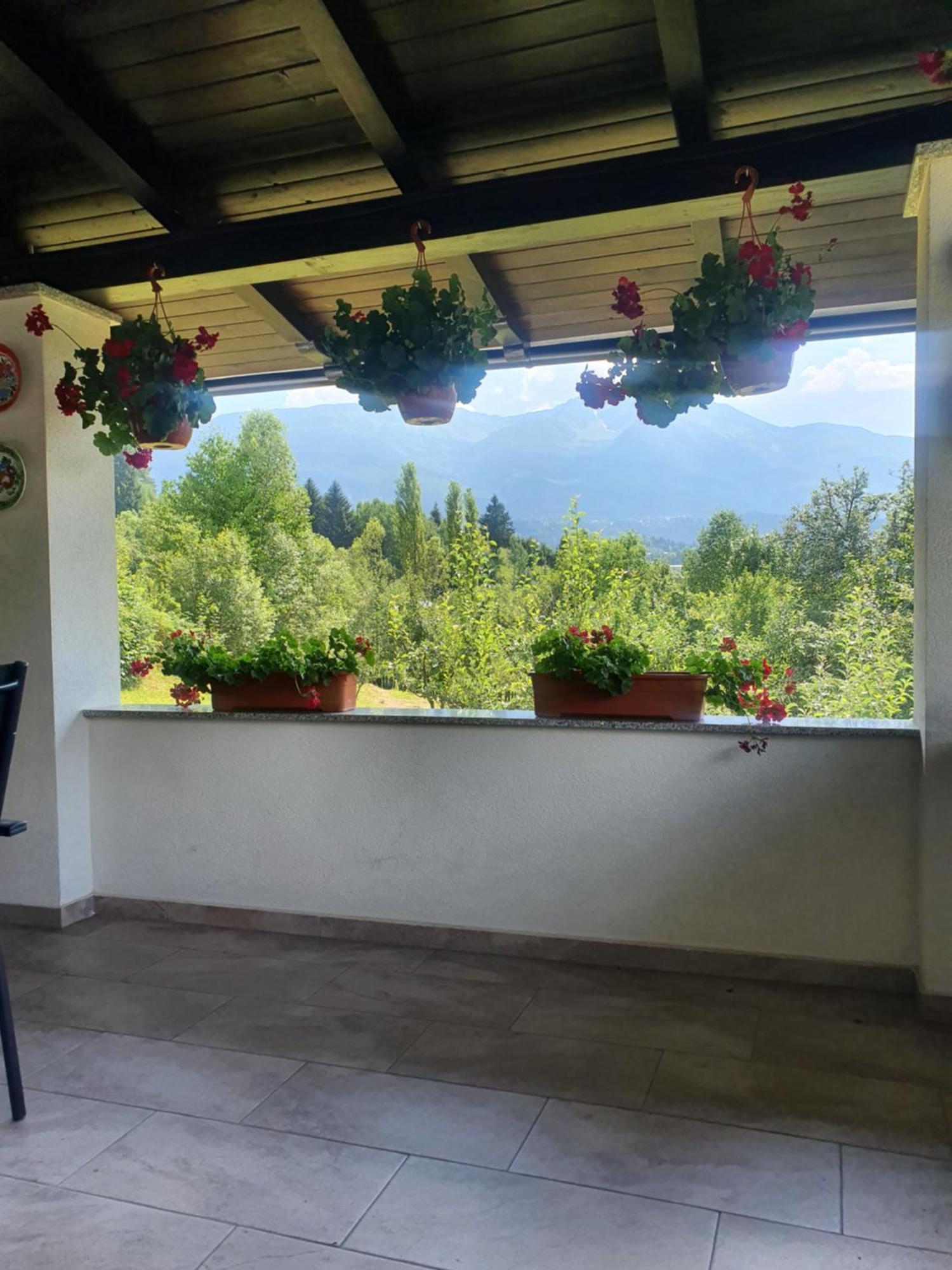 Villa Casa Danci Centru à Borşa Extérieur photo