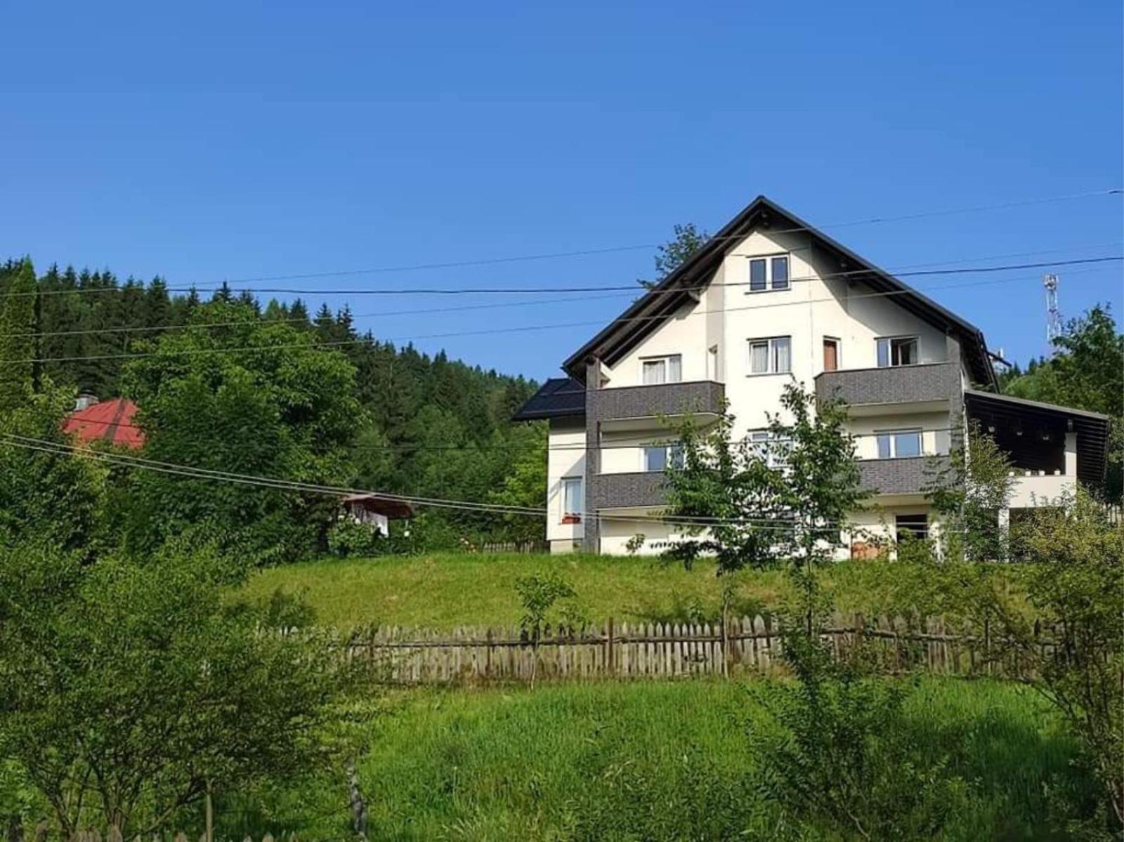 Villa Casa Danci Centru à Borşa Extérieur photo